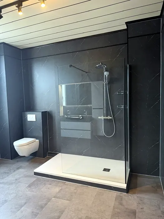 Badkamer met antraciet wandpanelen, hangtoilet en inloopdouche